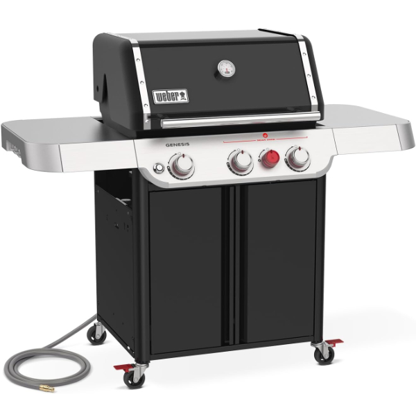 <?php echo $pick->name; ?>